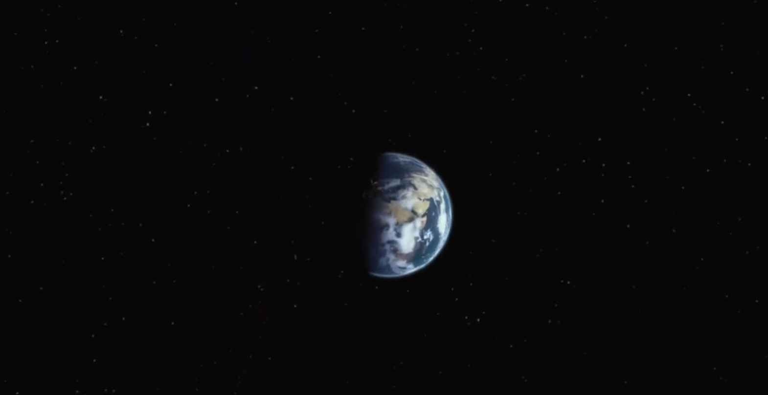 still from WaterBear Every Living Thing