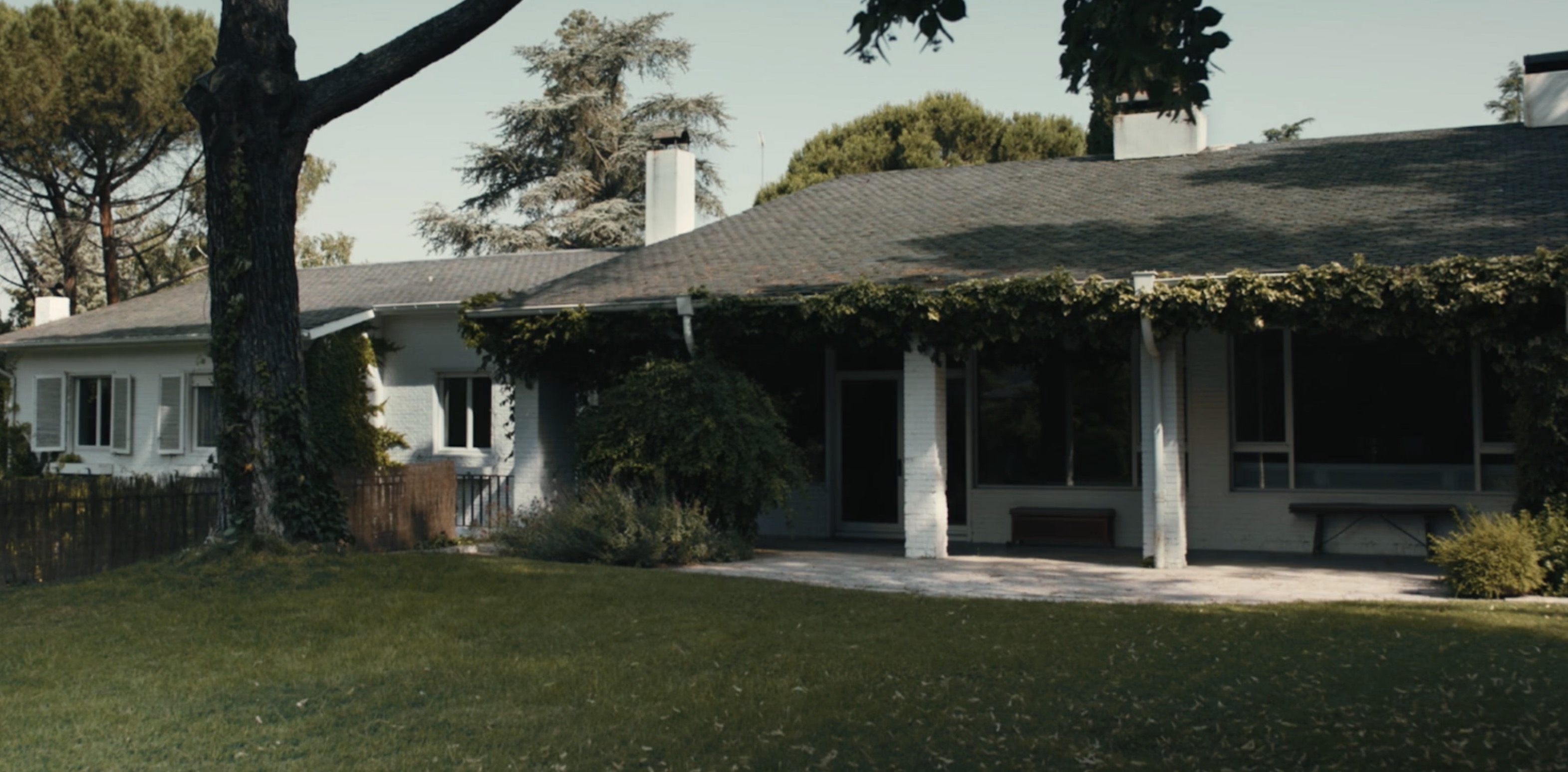 still from Noday