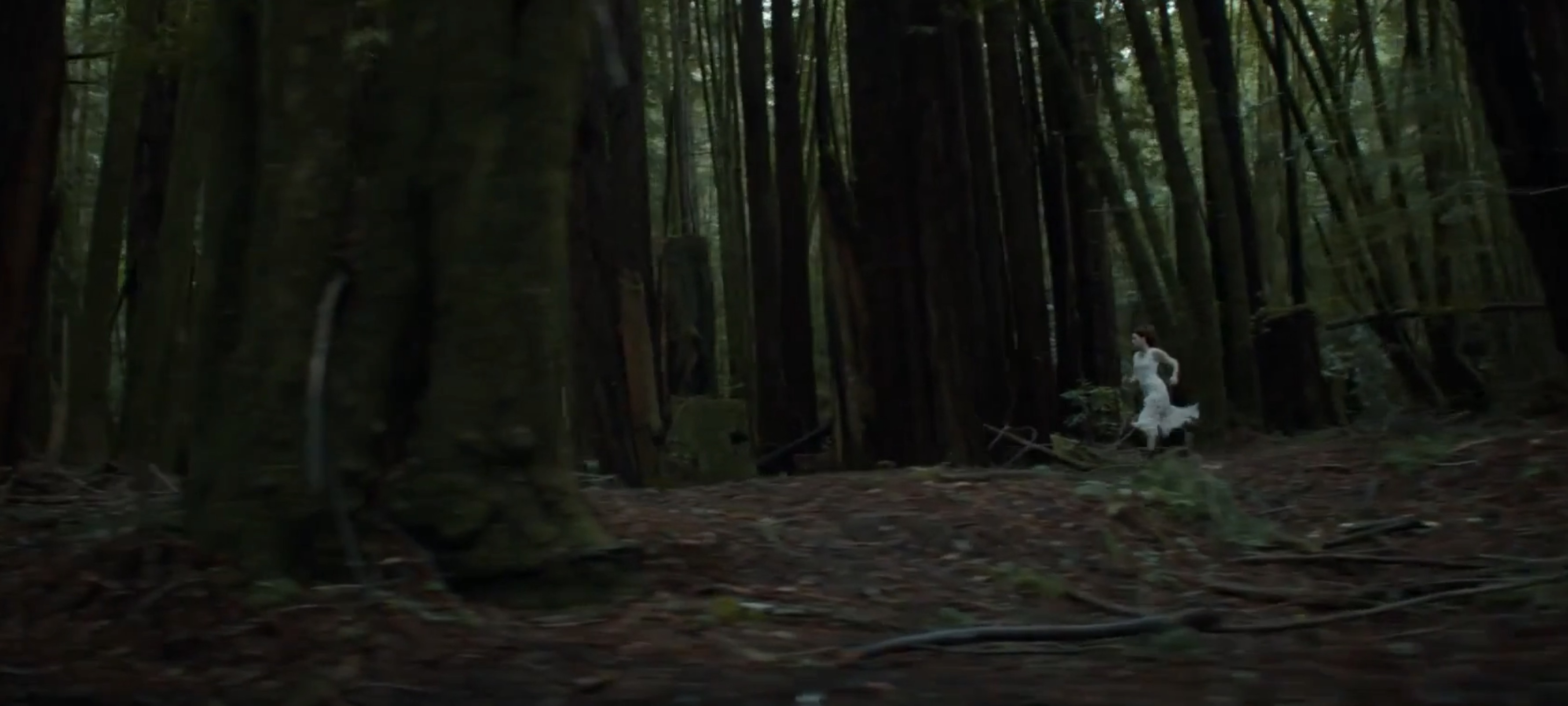 still from Beyond Memories