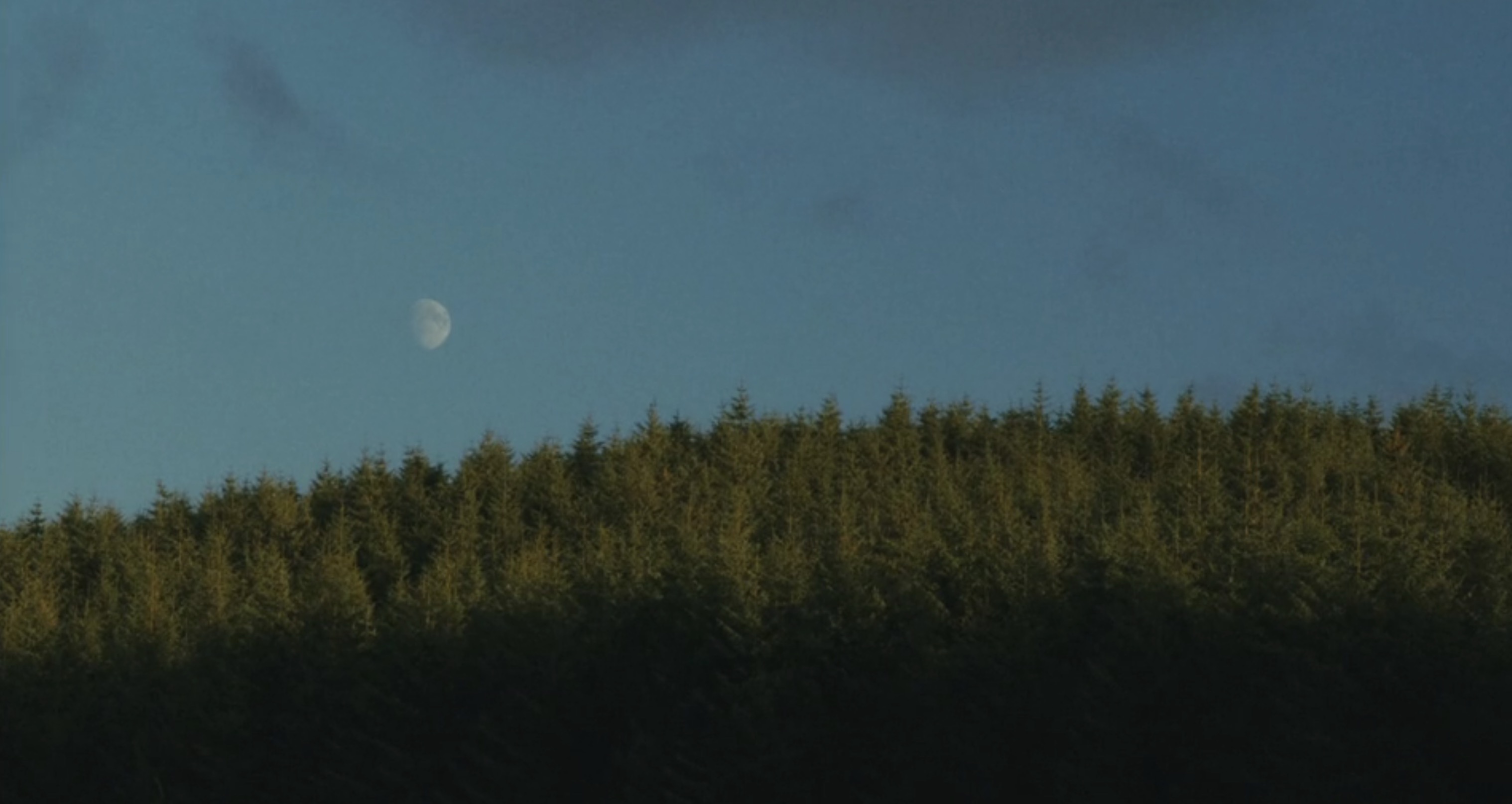 still from All we are